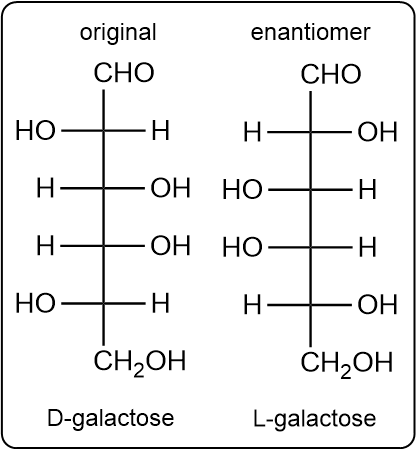 Comparison of D-galactose and its enantiomer L-galactose with labels.