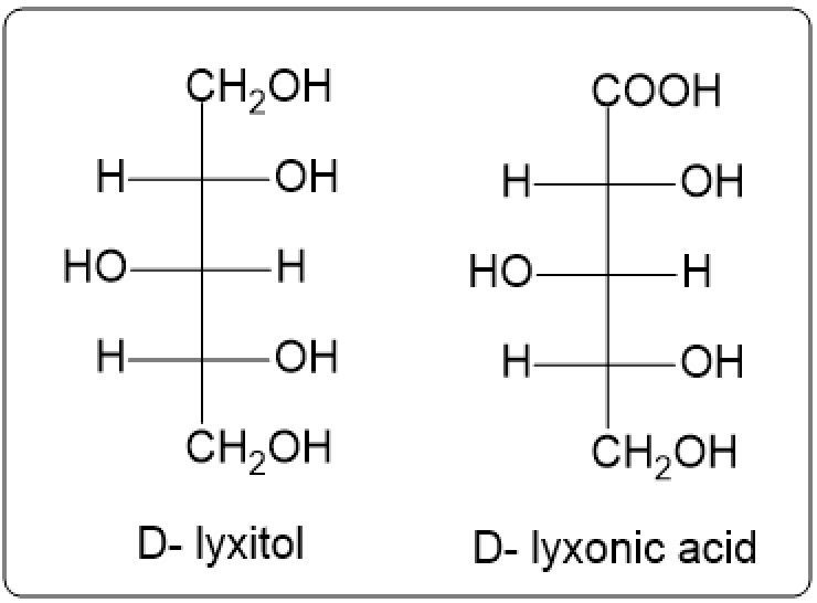 Fischer projections of D-lyxitol and D-lyxonic acid with labels.