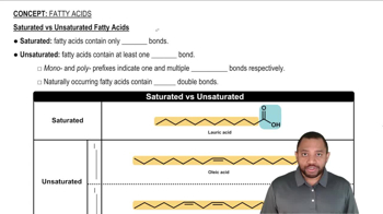 Fatty Acids Concept 2