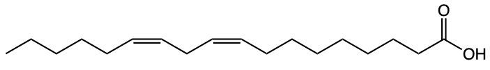 fatty acid structure