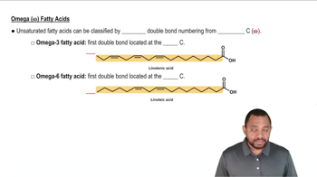 Fatty Acids Concept 3