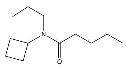 amide structure