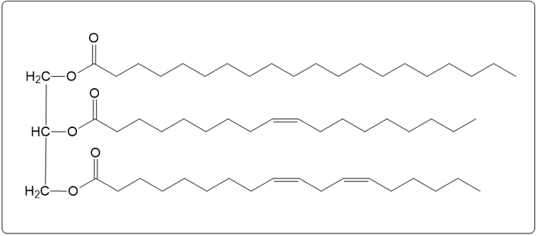 Chemical structure of triacylglycerol for hydrogenation reaction in a box.