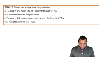 Intro to Nucleic Acids 