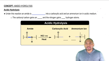 Acidic Hydrolysis Concept 1