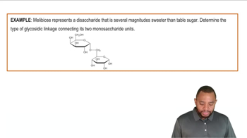 Alpha vs Beta Linkages Example 3