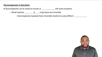 Intro to Gluconeogenesis Concept 2