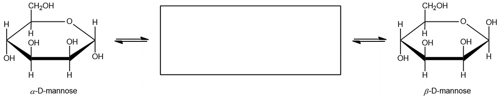 Mutarotation reaction of D-mannose showing alpha and beta forms with a missing structure.