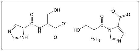 Dipeptide structure containing proline and serine.