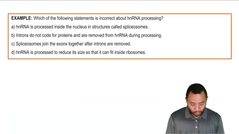 Processing of Pre-mRNA Example 1