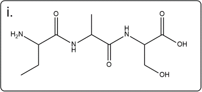 Line-angle structure of valylglycylserine for educational purposes.