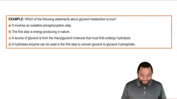 Glycerol Metabolism Example 1