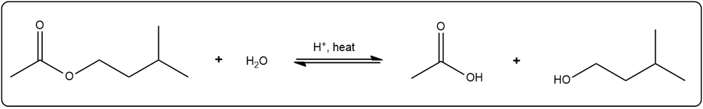 Balanced equation for acid-catalyzed hydrolysis of 3-methylbutyl ethanoate.