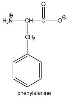 Structure of phenylalanine showing its amino and carboxyl groups.