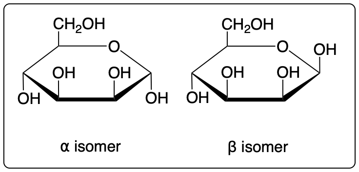 Haworth structure of β-D-altrose illustrating its cyclic form and hydroxyl positions.