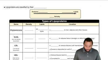 Lipoproteins for Transport Concept 2