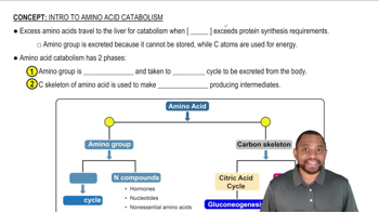 Intro to Amino Acid Catabolism Concept 1