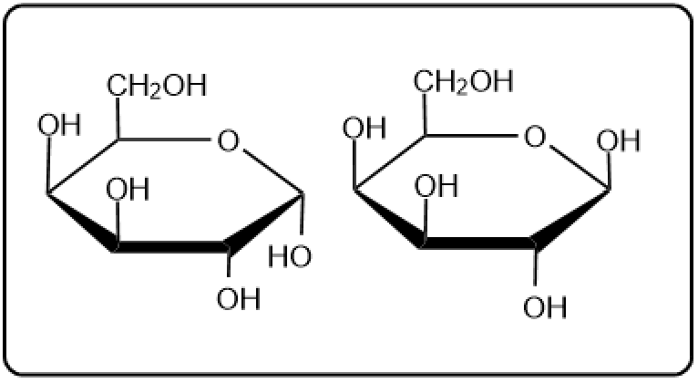 Two disaccharide structures shown for educational analysis in carbohydrate chemistry.