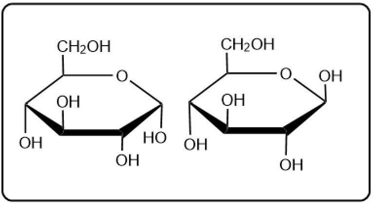 Two disaccharide structures presented for comparison in carbohydrate reactions.