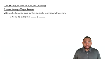 Common Naming of Sugar Alcohols Concept 3