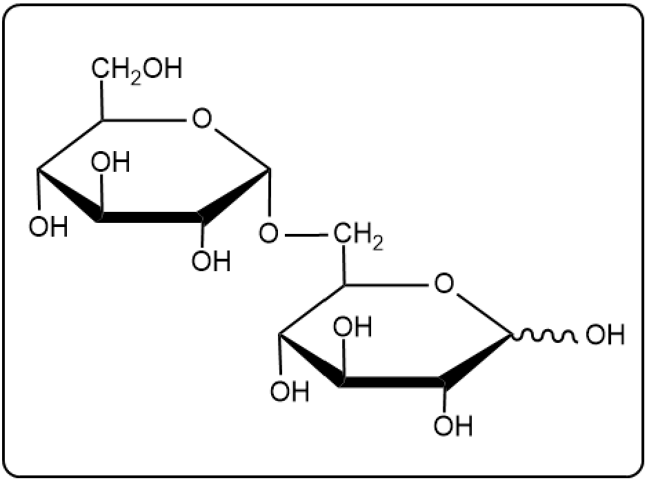 Structure of gentobiose, a disaccharide with two glucose units linked by β(1→6) bond.