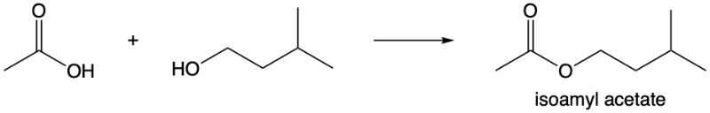 Chemical reaction showing the formation of isoamyl acetate from a carboxylic acid and alcohol.