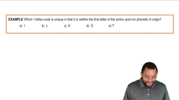 Amino Acid One Letter Codes Example 2