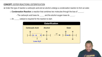 Ester Reactions: Esterification Concept 1