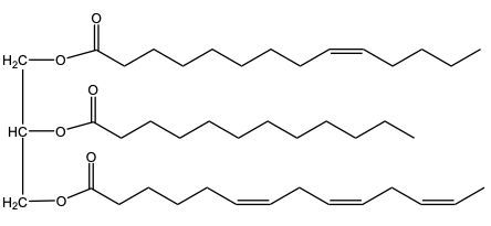 triacylglycerol structure