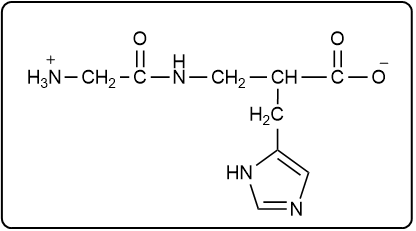 Structure of carnosine with N-terminal amino acid on the right.