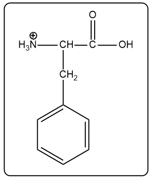 Zwitterion structure of phenylalanine with a positive charge and hydroxyl group.