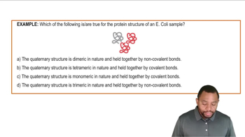 Quaternary Protein Structure Example 1