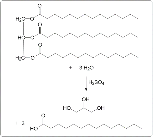 Chemical reaction for acid hydrolysis of glyceryl tripalmitate with water and sulfuric acid.