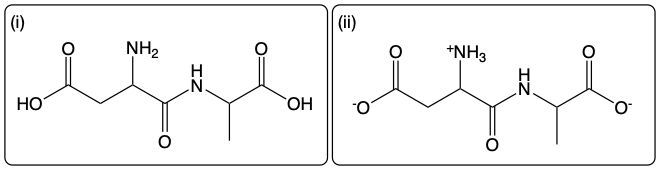 Dipeptide Asp-Ala structure at low pH with ionized groups.