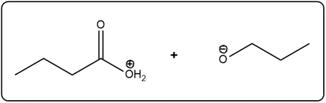 Line-angle structure showing protonated ester reacting with water.