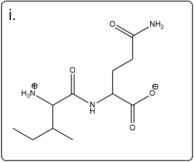 Line-angle structure of isoleucylglutamine for educational purposes.