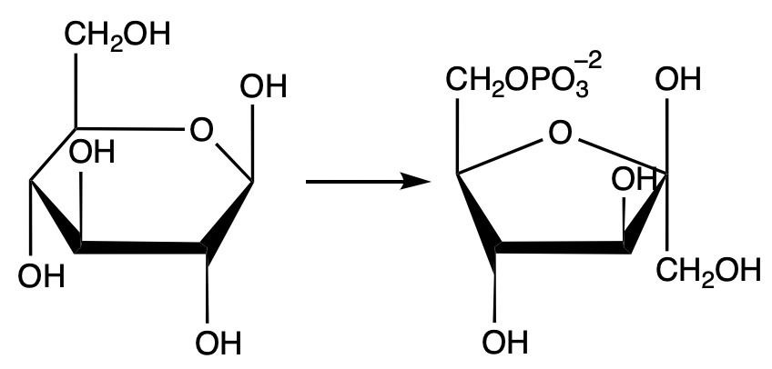 Chemical reaction showing conversion of glucose to fructose 6-phosphate in glycolysis.