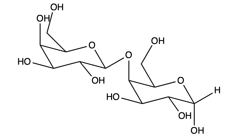 Disaccharide structure of two D-galactose sugars, emphasizing the β-1,4 glycosidic bond.