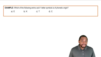 Amino Acid One Letter Codes Example 1