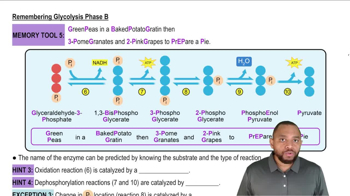 Glycolysis Summary Concept 3