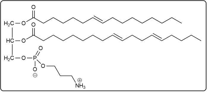 Phosphoglyceride structure with palmitic acid, linoleic acid, and propanolamine phosphate group.