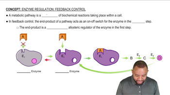 Feedback Control Concept 1