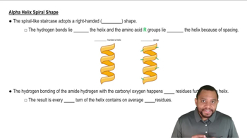 Alpha Helix Spiral Shape Concept 3