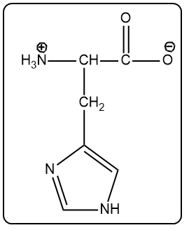 Structure of histidine with a positive charge on the amino group, indicating its protonated form.