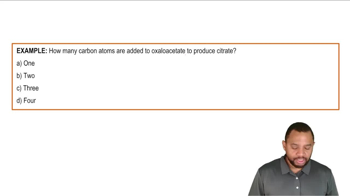 Phase A - Citrate Formation Example 1