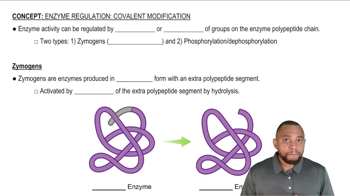 Covalent Modification/Zymogens Concept 1