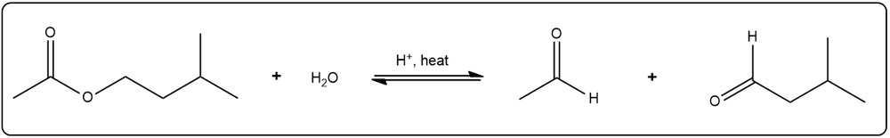 Balanced equation for acid-catalyzed hydrolysis of 3-methylbutyl ethanoate.