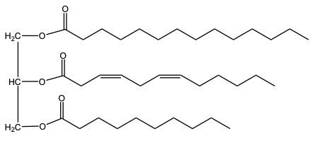 triacylglycerol structure