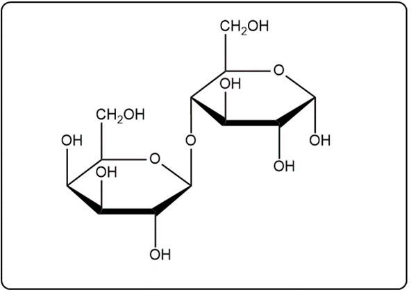 Haworth structure of β-lactose with a different visual style.