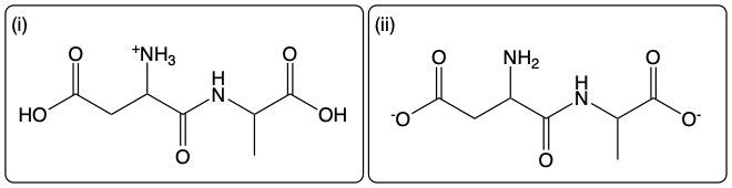 Dipeptide Asp-Ala structure at high pH with ionized groups.